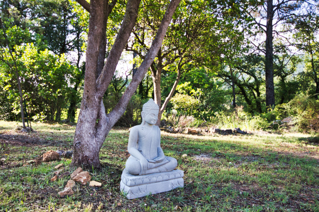 Location parc arboré Provence