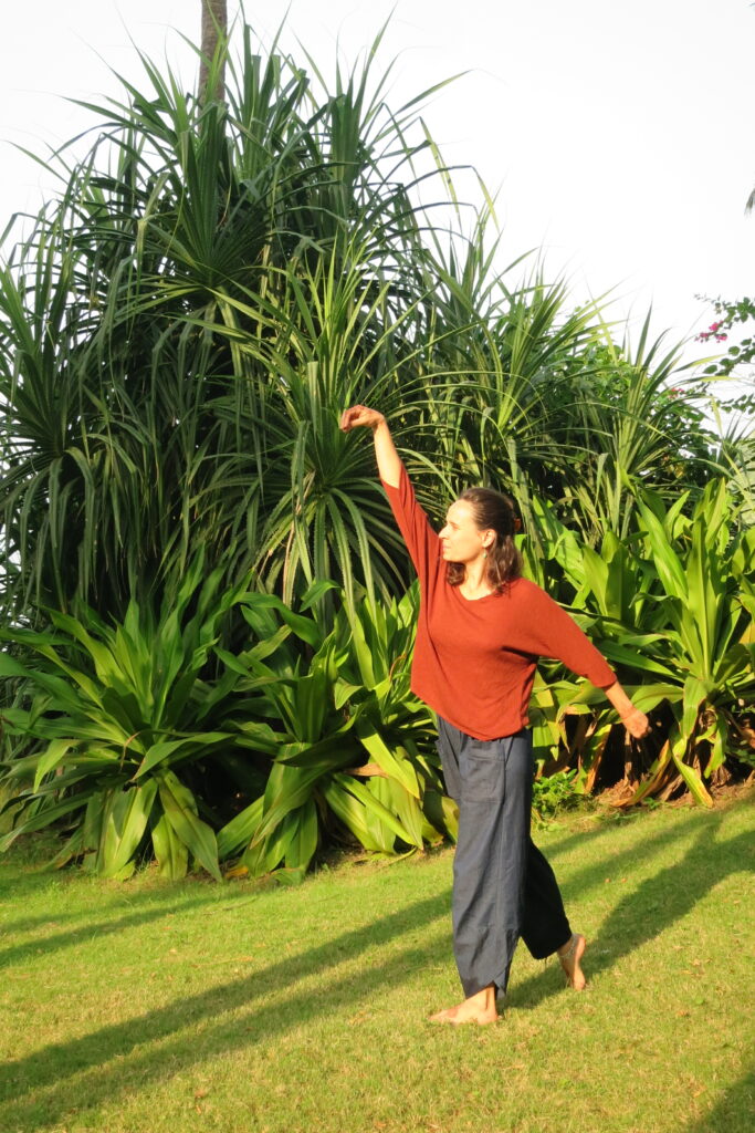 qi gong brignoles var